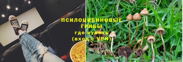 соль ск Балахна