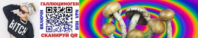 Псилоцибиновые грибы MAGIC MUSHROOMS Курильск